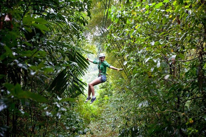 Treetop Zipline Adventure from Castries — 12 Ziplines Through St. Lucia Rainforest photo 2
