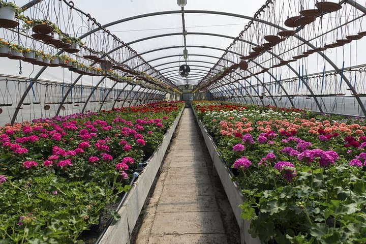 Santa Elena Flower Farm & Silleteros Cultural Tour from Medellín photo 2