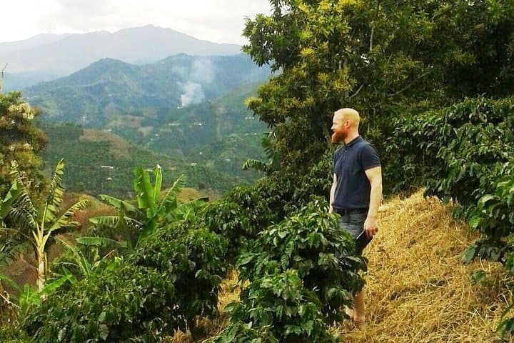 Private Full-Day Coffee Tour to Palmitas Farm from Medellín — Farm-to-Cup Coffee Experience photo 2