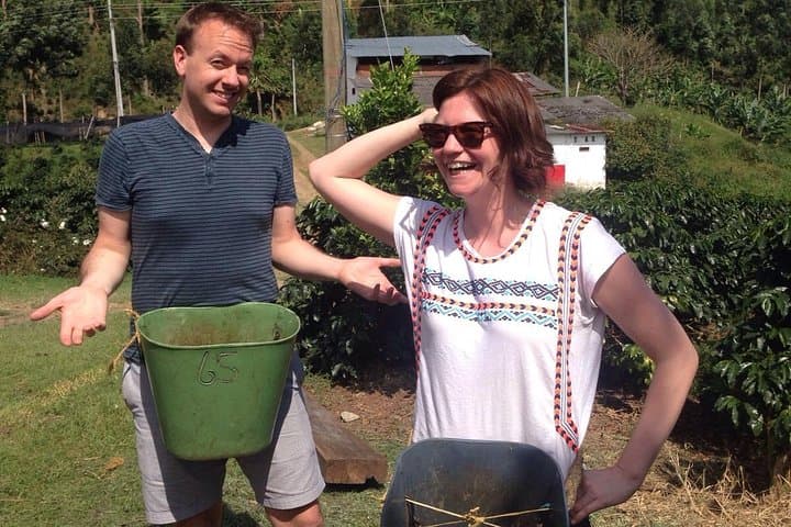 Private Full-Day Coffee Tour to Palmitas Farm from Medellín — Farm-to-Cup Coffee Experience