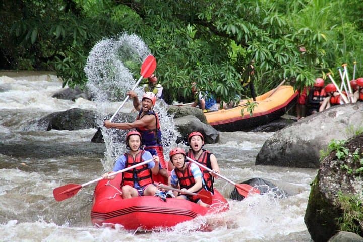Ayung River White-Water Rafting (Ubud) — All-Inclusive Half-Day Adventure photo 2
