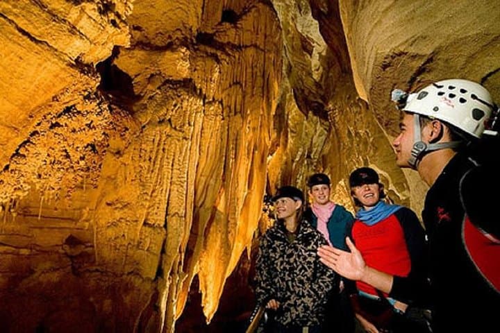 Private Driver to Waitomo Glowworm Caves — Auckland to Waitomo Day Transfer