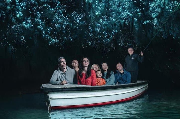 Private Driver to Waitomo Glowworm Caves — Auckland to Waitomo Day Transfer photo 2