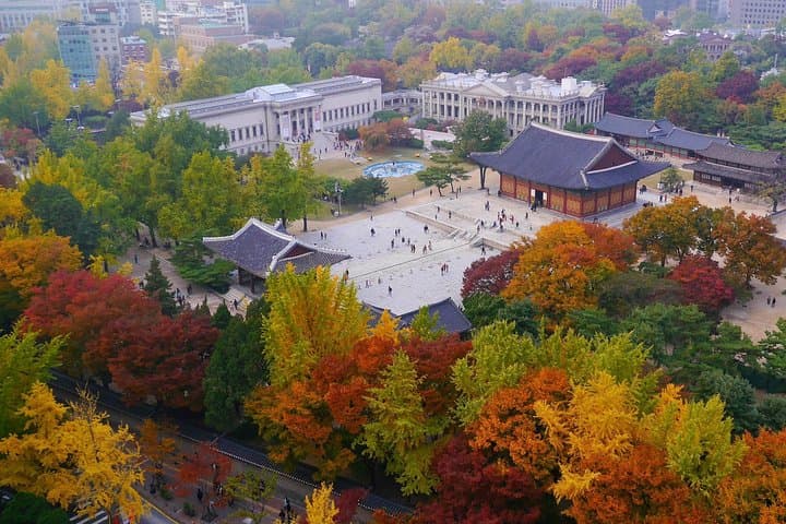 Moonlight Stroll at Deoksugung: Night Walk and Dinner in Seoul photo 2