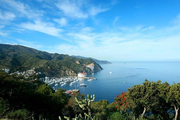 Catalina Island Day Trip from LA: Ferry, Zipline & Undersea Adventures photo 1