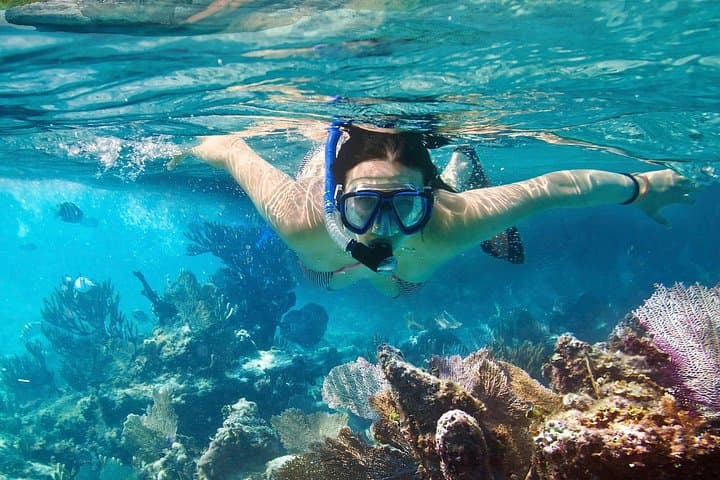 Cozumel Snorkeling: Palancar, Colombia & El Cielo Half-Day Reef Tour photo 1