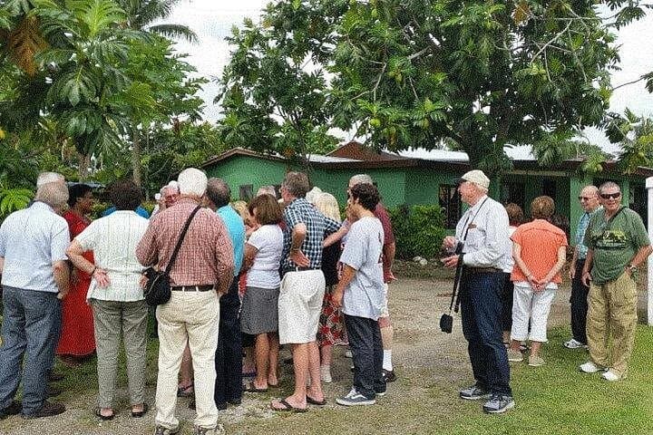 Historical and Cultural Tour of Nadi: Port Denarau Shore Excursion Guide photo 1