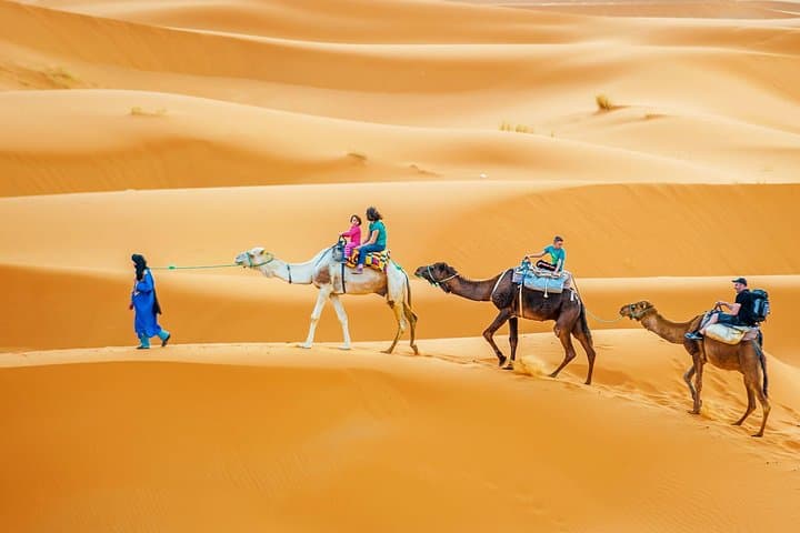 Full-Day Camel Trek in Douz: Sahara Experience with Lunch and Tea