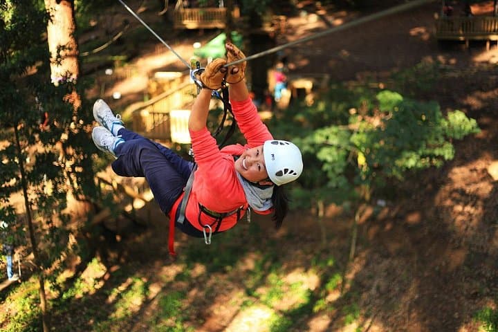 Lane Poole Park Dwellingup Tree Ropes Course: Treetop Ziplines & Aerial Adventure Near Perth
