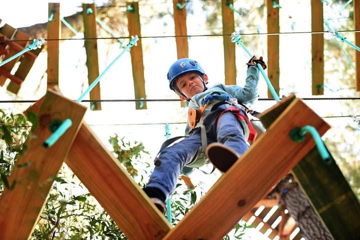 Lane Poole Park Dwellingup Tree Ropes Course: Treetop Ziplines & Aerial Adventure Near Perth photo 2