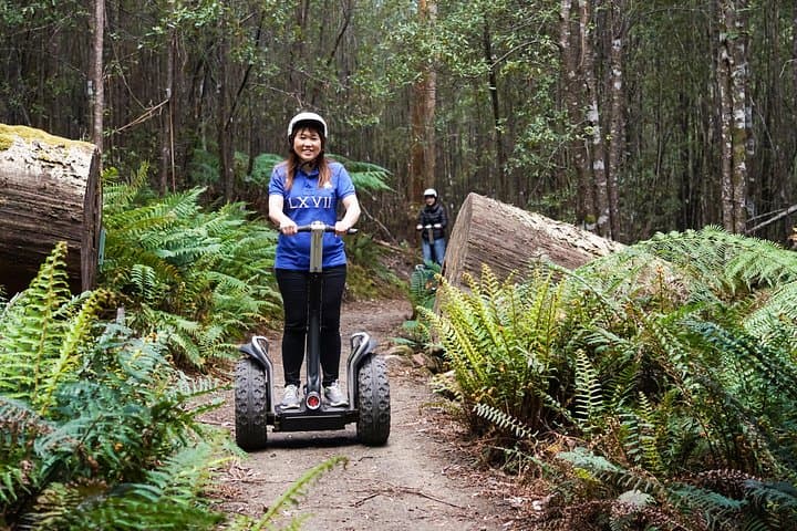 Hollybank Treetops Segway Tour Launceston: 90-Min Forest Ride photo 1