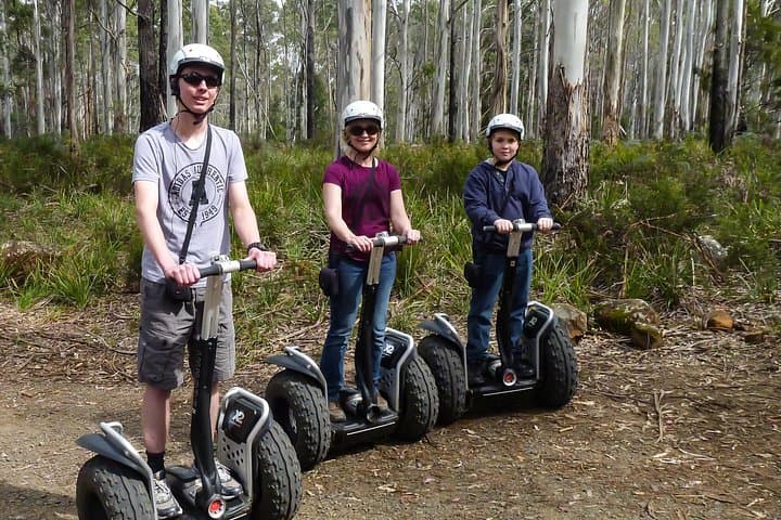 Hollybank Treetops Segway Tour Launceston: 90-Min Forest Ride photo 2