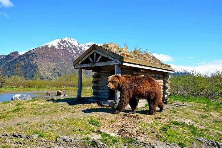 Anchorage to Whittier Private Tour & Cruise Transfer along Turnagain Arm