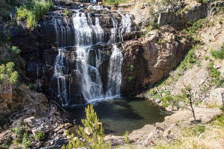 3-Day Melbourne to Adelaide: Great Ocean Road & Grampians Small-Group Tour photo 3