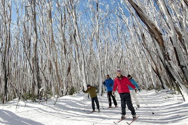 Day Trip from Melbourne to Lake Mountain: Snow Play, Steavenson Falls & Yarra Valley Chocolates photo 3
