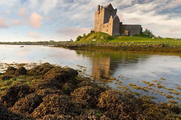 Cliffs of Moher Spanish-Language Day Tour: Galway, The Burren & Coastal Birds photo 3