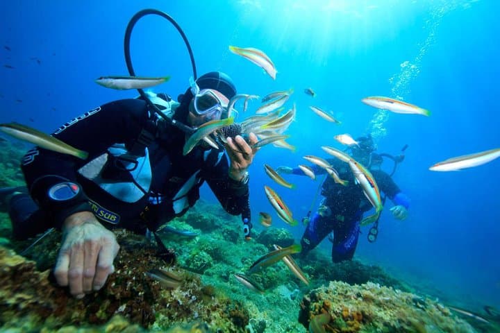 Dive Hon Mun: Nha Trang Coral Bay Scuba Day Trip