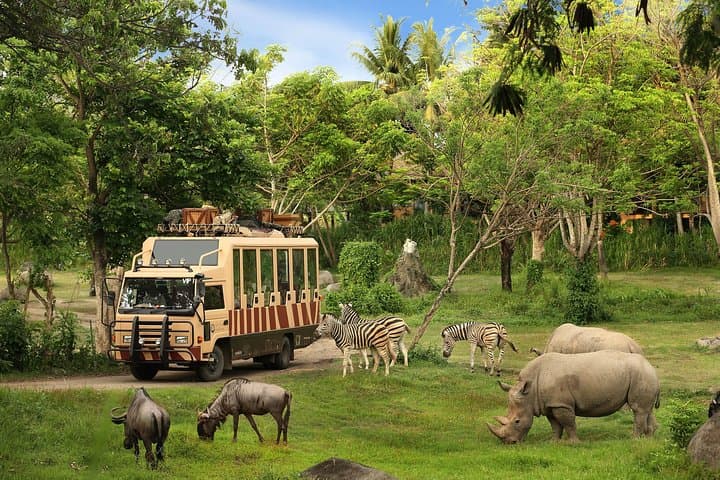 Vinpearl Safari Phu Quoc — Open-Zoo Ticket with Roundtrip Transfer photo 2