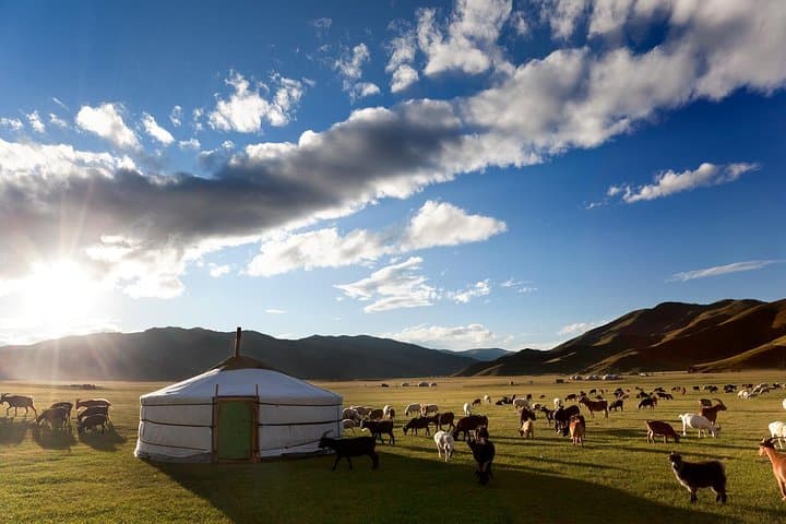 7-day-mongolia-adventure-karakorum-orkhon-gobi-wild-horses photo 2