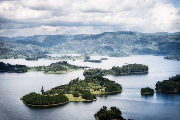 4-Day Gorilla Safari Holiday to Bwindi: Mountain Gorilla Trekking from Kampala photo 1