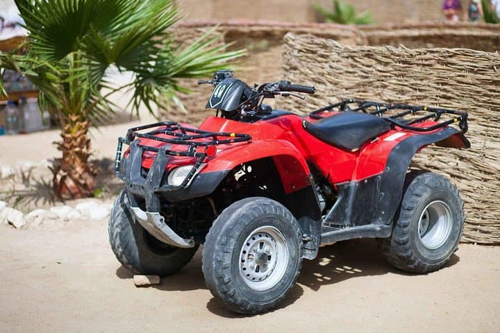 Quad Biking the Marrakech Palmeraie: 4-Hour Off-Road Adventure with Mint Tea