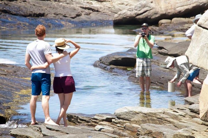 Cape Peninsula Coastal Safari with a Marine Biologist photo 2