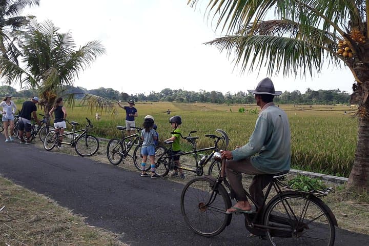 Kaba Kaba Harmony Cycling: Backroads, Rice-Field Temples & Balinese Village Life