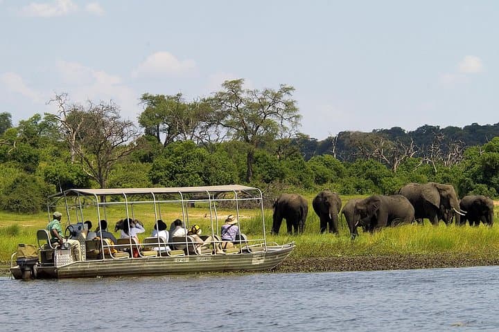 Chobe Full-Day Safari from Victoria Falls: Boat Cruise & Game Drive in Chobe National Park photo 2