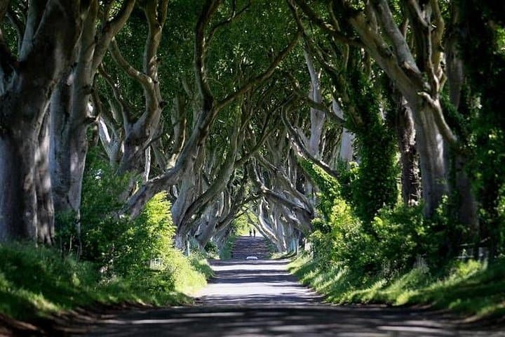 Game of Thrones Locations and Giant's Causeway Day Tour from Belfast