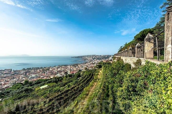 Vertical Naples Walking Tour: Vomero Hill to Historic Centre Urban Trekking photo 2