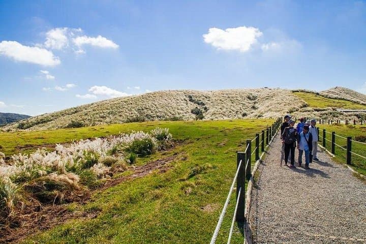 Yangmingshan & Beitou Private Day Tour from Taipei: Volcano Grasslands and Hot Springs photo 3