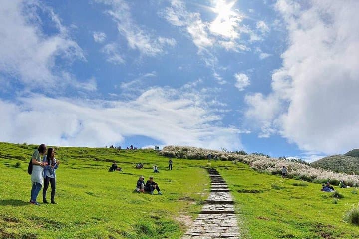Yangmingshan & Beitou Private Day Tour from Taipei: Volcano Grasslands and Hot Springs photo 2