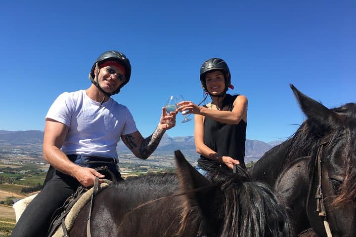 Paarl Full-Day Wine Tasting Horse Trail — Ride the Cape Winelands