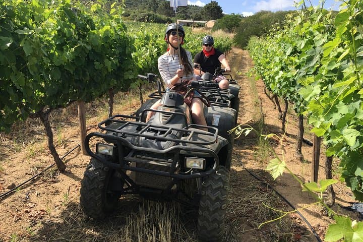 Vrede en Lust Nature Quad Trail — 1.5-Hour ATV in the Simonsberg Foothills photo 2
