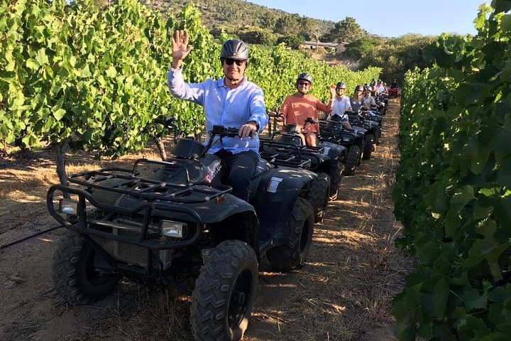 Vrede en Lust Nature Quad Trail — 1.5-Hour ATV in the Simonsberg Foothills photo 3