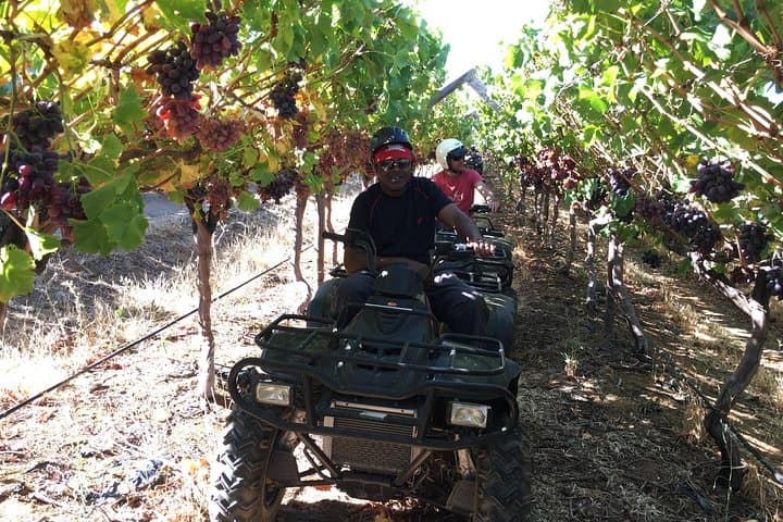 Nature Quad Trail at Vrede en Lust: 2-Hour ATV Ride Through Simonsberg Foothills photo 4