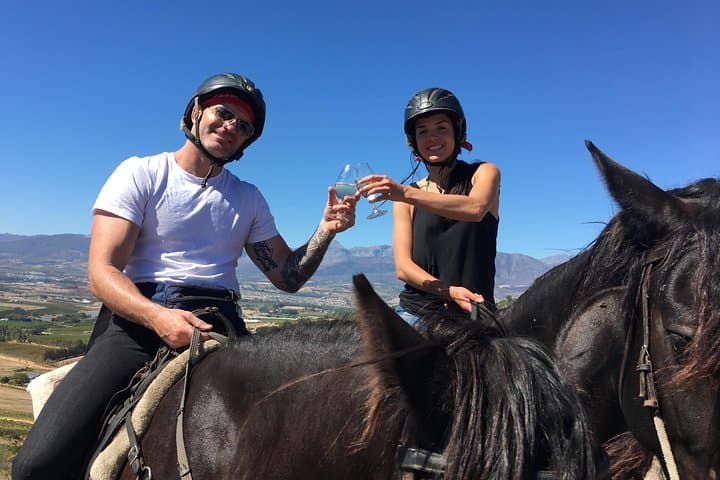 Half-Day Horseback Wine Trail in Franschhoek — Ride the Drakenstein Vines