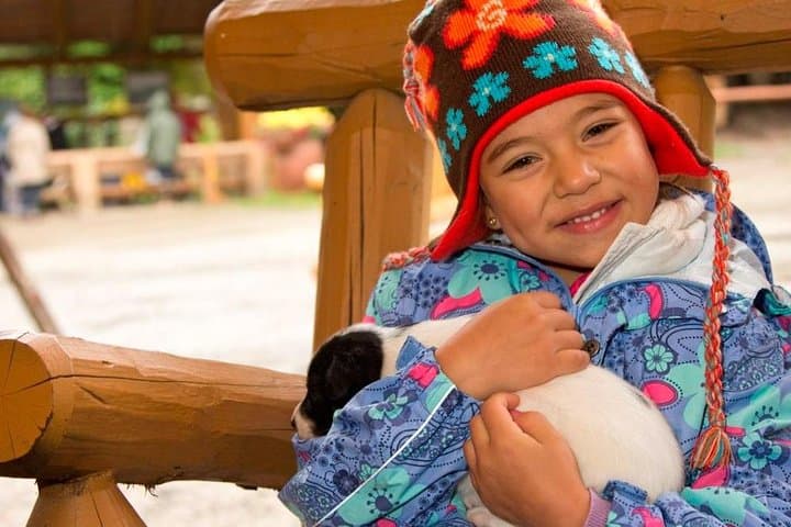Musher's Camp and S'More Roasting in Dyea — Skagway Puppy Meet & Campfire Experience photo 3