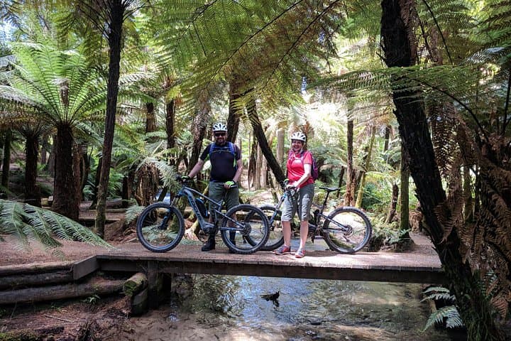Redwoods E‑Bike Mountain Bike Tour — Rotorua Redwoods Guide