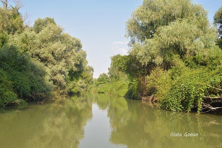 Private Danube Delta Boat Tour to Mila 23 from Tulcea photo 2