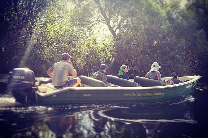 Private Danube Delta Boat to Letea Forest — Wild Horses, Sand Islands & Village Walk