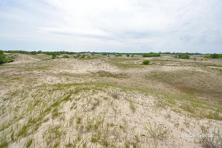 Private Danube Delta Boat to Letea Forest — Wild Horses, Sand Islands & Village Walk photo 2