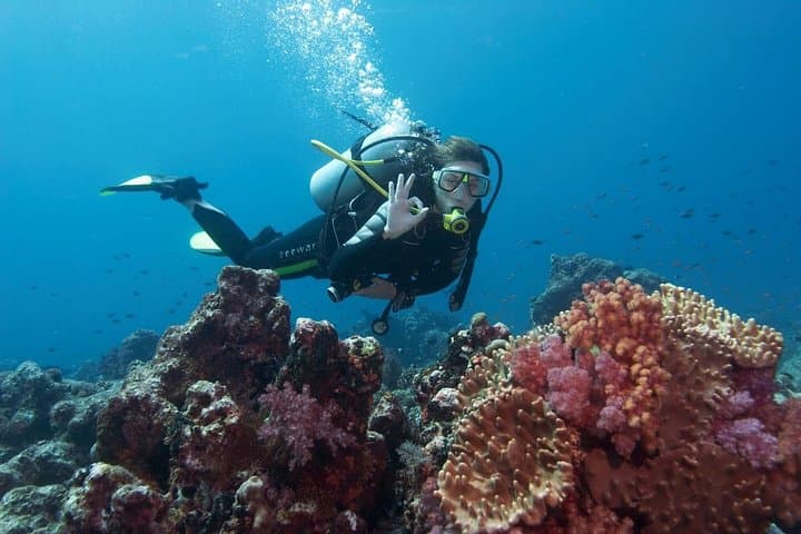 Marmaris Scuba Diving: Two-Tank Boat Dives with Lunch & Hotel Transfers