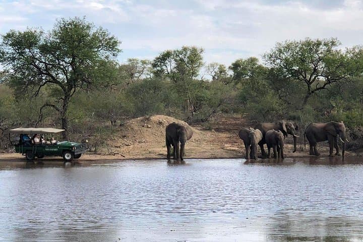 4-Day Budget Kruger National Park Safari — Big Five, Bush Walks & Blyde River Canyon photo 3