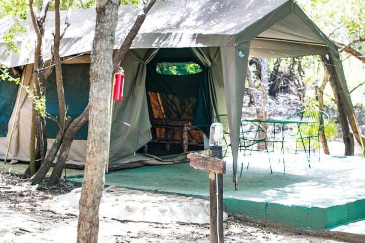 6-Day Budget Kruger Safari: Big Five, Bushwalks & Blyde River Canyon