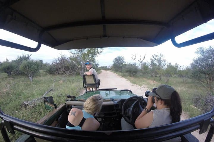 6-Day Lodge & Treehouse Kruger Safari — Big Five, Bushwalks & Blyde Canyon
