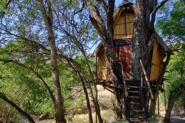 4-Day Kruger Lodge & Treehouse Safari — Balule Big Five Adventure photo 2