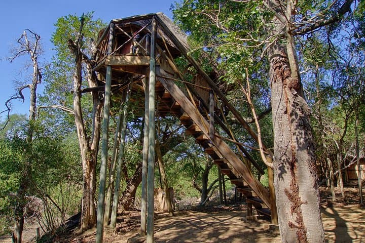 3-Day Lodge and Treehouse Kruger National Park Safari: Balule Game Drives, Treehouse Stay & Blyde Canyon photo 2