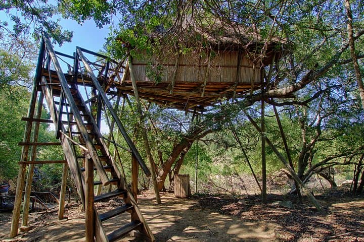 6-Day Lodge & Treehouse Kruger Safari — Big Five, Bushwalks & Blyde Canyon photo 3