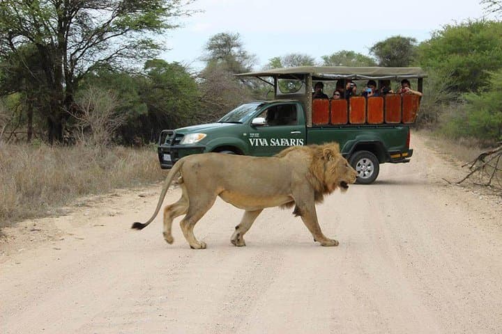 5-Day Classic Kruger National Park Safari: Big Five, Bush Walks & Blyde Canyon